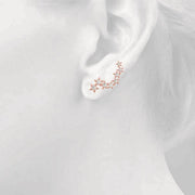 EAR CLIMBERS - Image 8